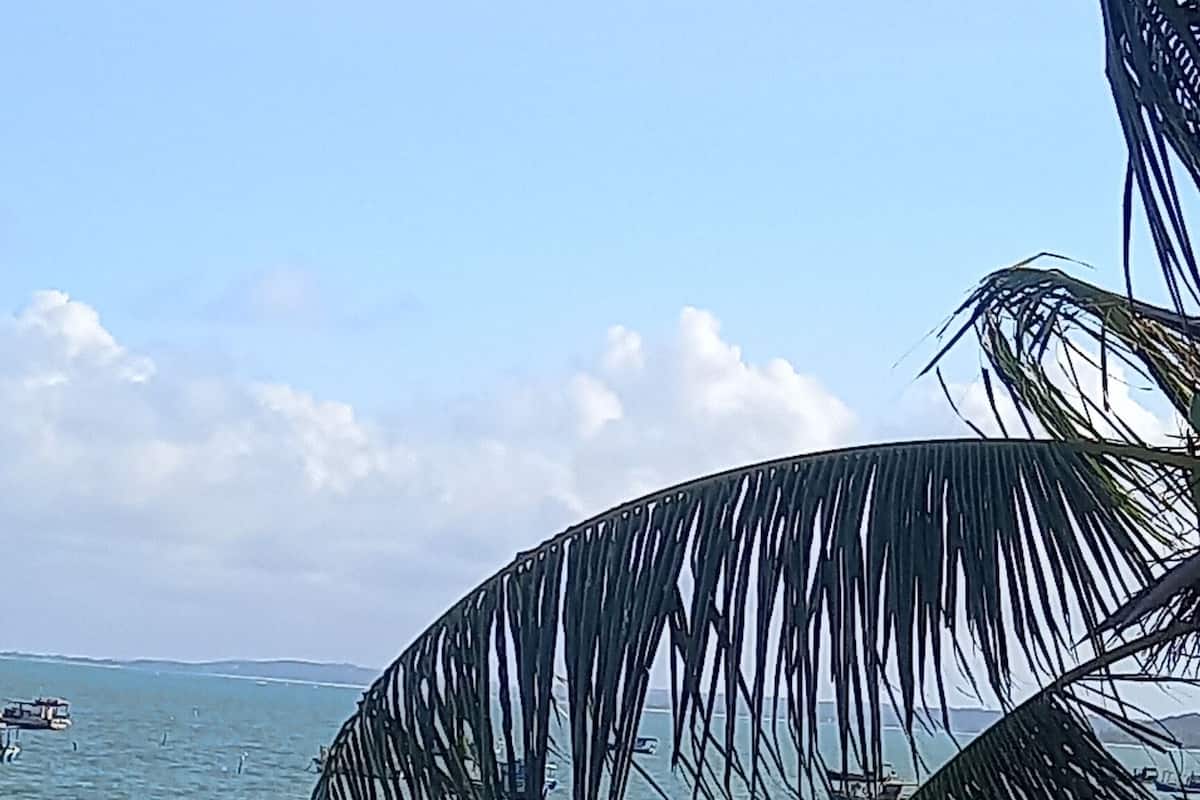 高级双人房, 1 张特大床, 海滩景观 | 免费 WiFi、床单
