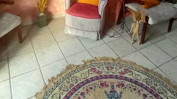 Une pièce avec un tapis à motifs, un fauteuil gris avec un coussin rouge, une chaise en bois avec un coussin jaune et une lampe suspendue.