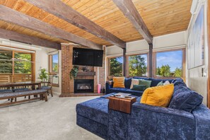 TV, fireplace, video games, books