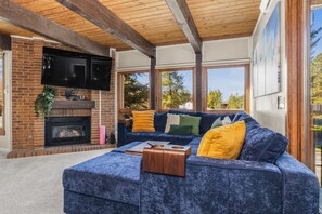 Fernseher, Kamin, Videospiele, Bücher