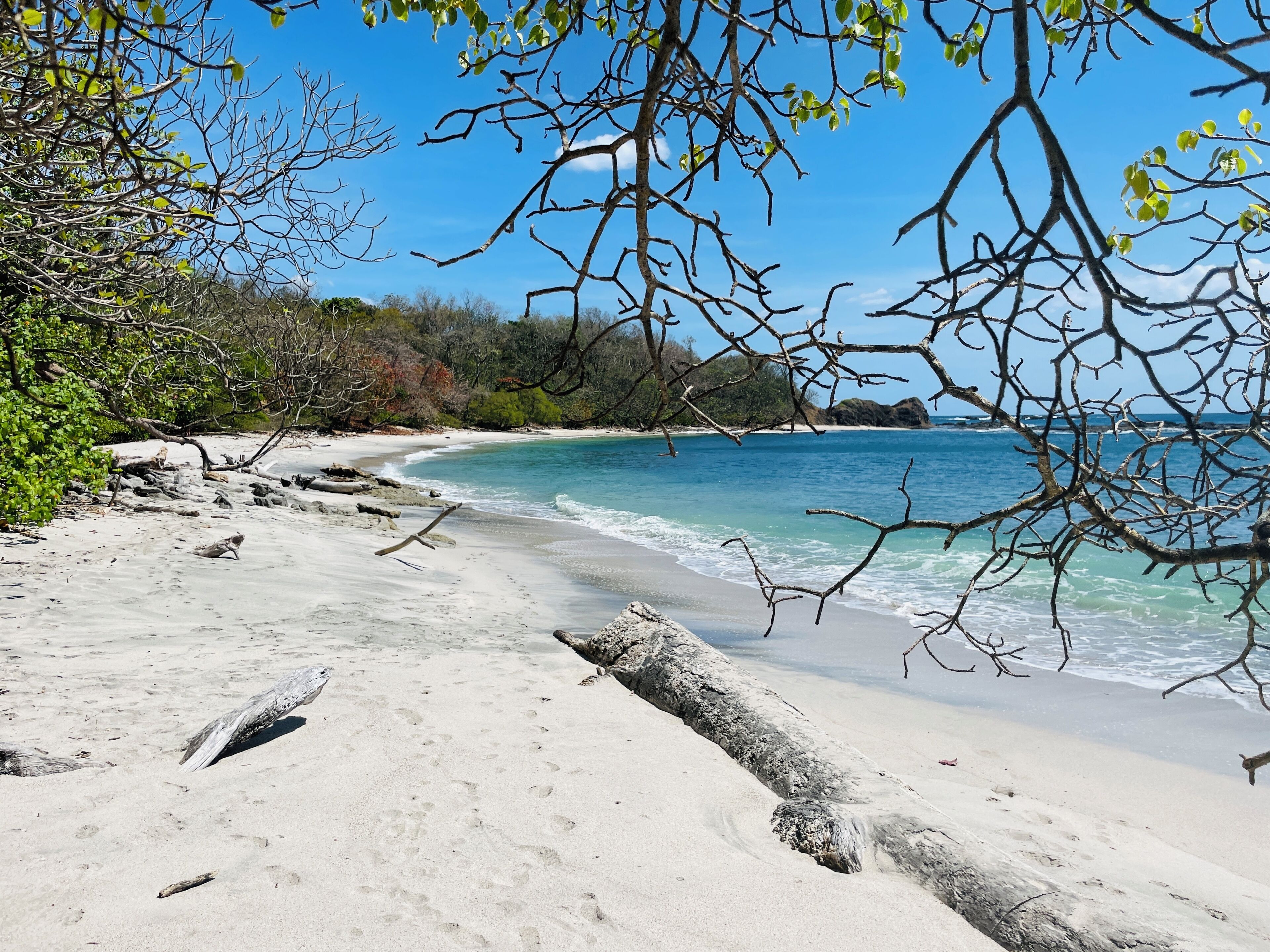 Sun loungers, beach towels