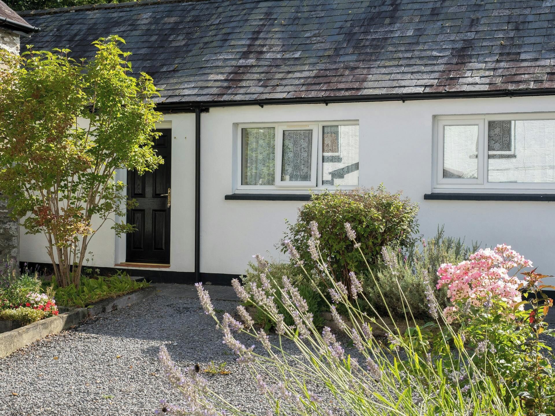 A white house with a black door, two windows with patterned curtains, and a gravel driveway.