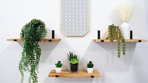 Eine Wand mit drei hölzernen Regalen, auf denen Pflanzen und gerahmte geometrische Muster stehen.