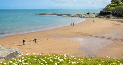 Wrens Nest, Newcastle Emlyn