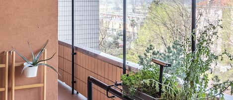 Uitzicht vanuit accommodatie