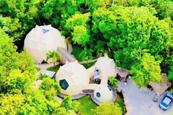 A dome-shaped building surrounded by lush greenery.