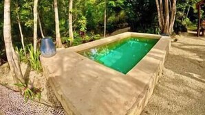 A rectangular pool with clear water, surrounded by trees and a concrete deck.