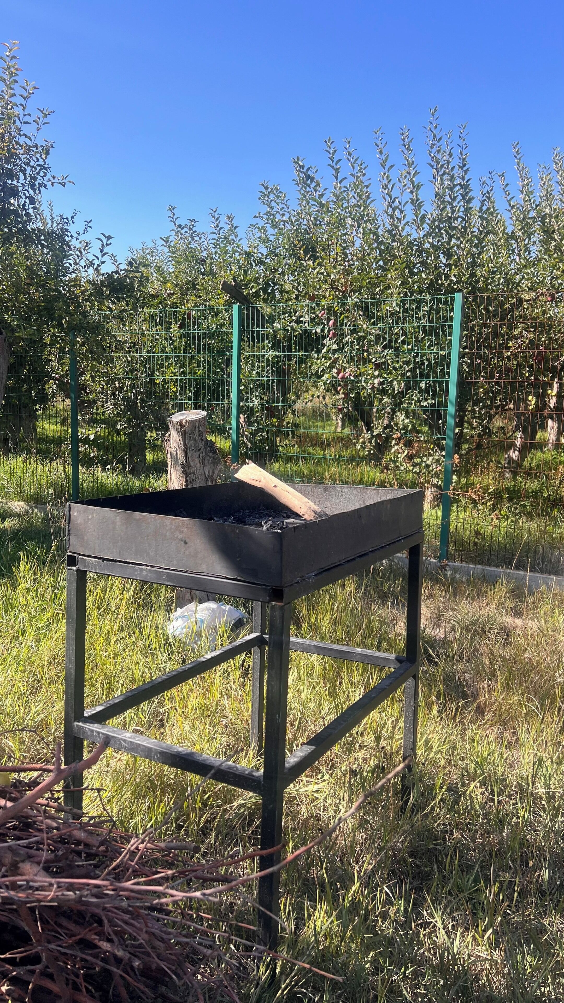 A metal table with a fire pit in the center, surrounded by grass and a fence.