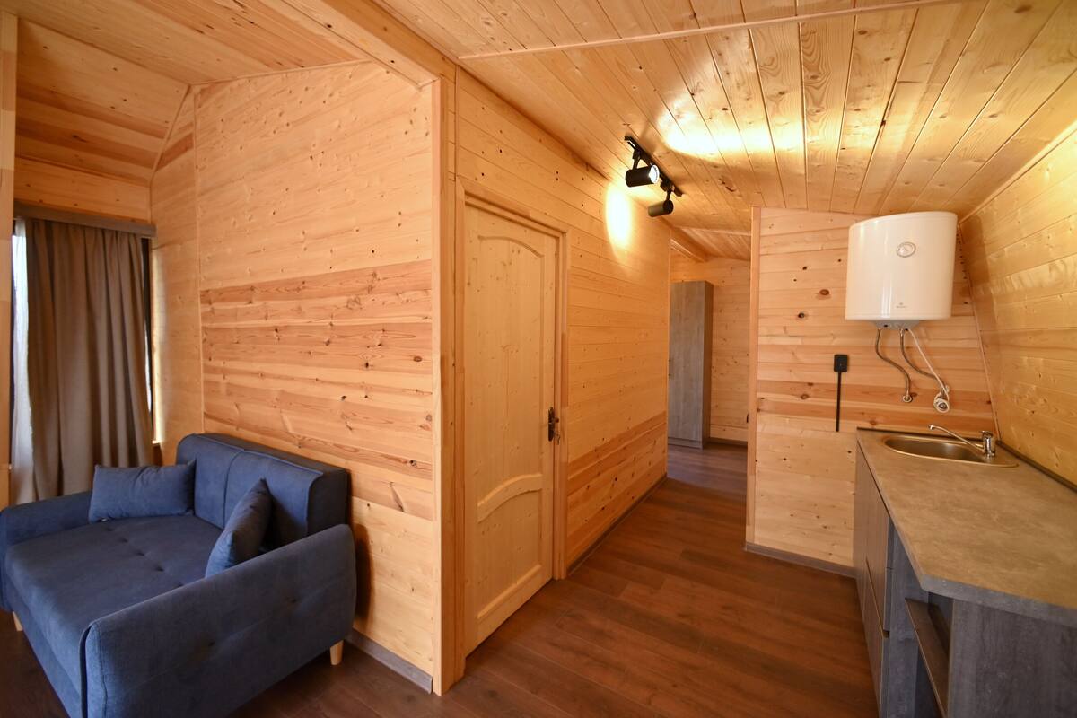 A wooden interior with a sofa, a door, and a sink.