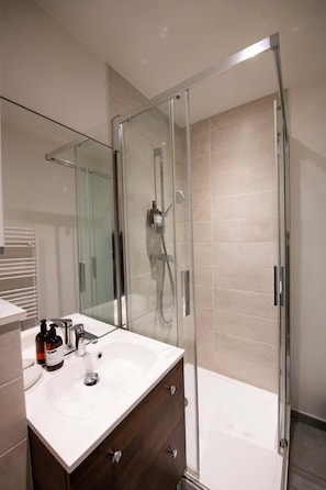 Shower, hair dryer, towels