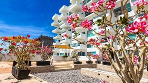 Exterior - Ocean View Condos with Pool Onsite (La Paz)