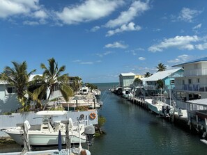 Marina - Welcome to Coral Cove! (Key Largo)