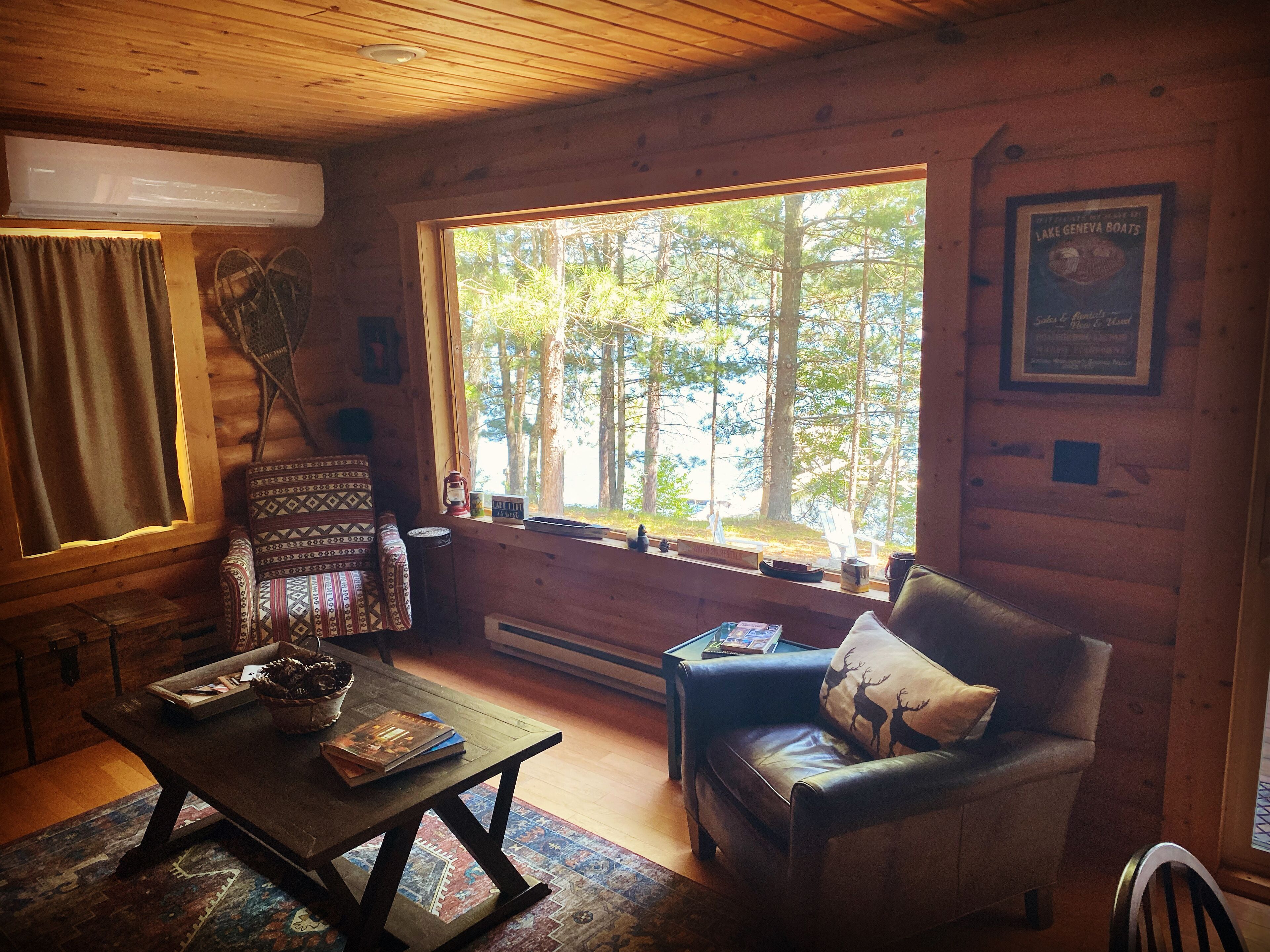 Smart TV, fireplace, DVD player, books