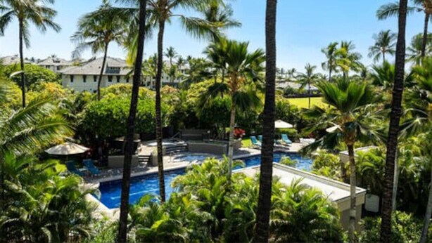 A pool surrounded by palm trees and greenery, with a building in the background.