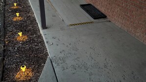A concrete pathway leading to a building entrance with a brick wall and a door marked '250'.