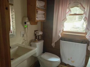 Hair dryer, towels, soap, toilet paper