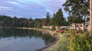A lakeside view with a pebbled shoreline, dense trees, and residential buildings in the background.