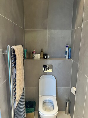 Shower, towels, soap, toilet paper