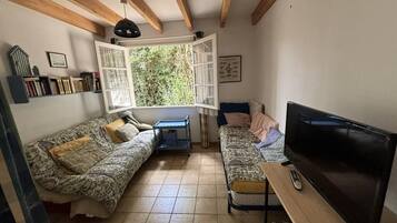 TV, books, offices, computer monitors