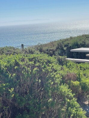 Property grounds - Charming 3-bedroom house in marvelous Los Angeles with WiFi, AC (Los Angeles)