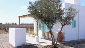 A white building with a pergola and olive trees in front. - Finca Rosablanca (Tunuyan)