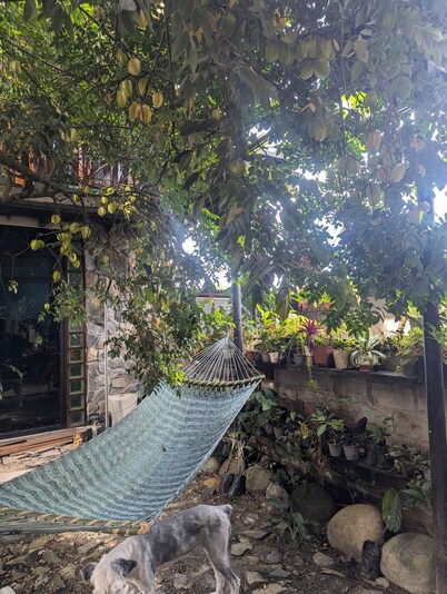Cedro Cabin