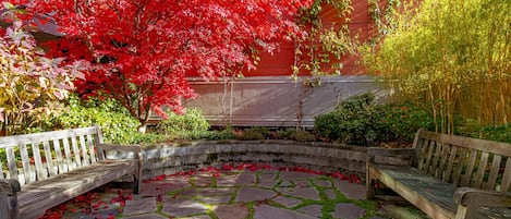 Une cour dallée de pierres, avec deux bancs en bois et une variété de plantes, dont un arbre aux feuilles rouges.