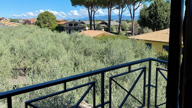 Un balcon donnant sur un quartier résidentiel, avec des maisons aux toits recouverts de tuiles rouges et un grand arbre.