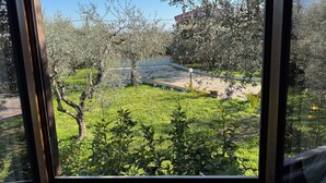 Une vue à travers une fenêtre sur un jardin avec des oliviers, un sentier et un bâtiment en arrière-plan.