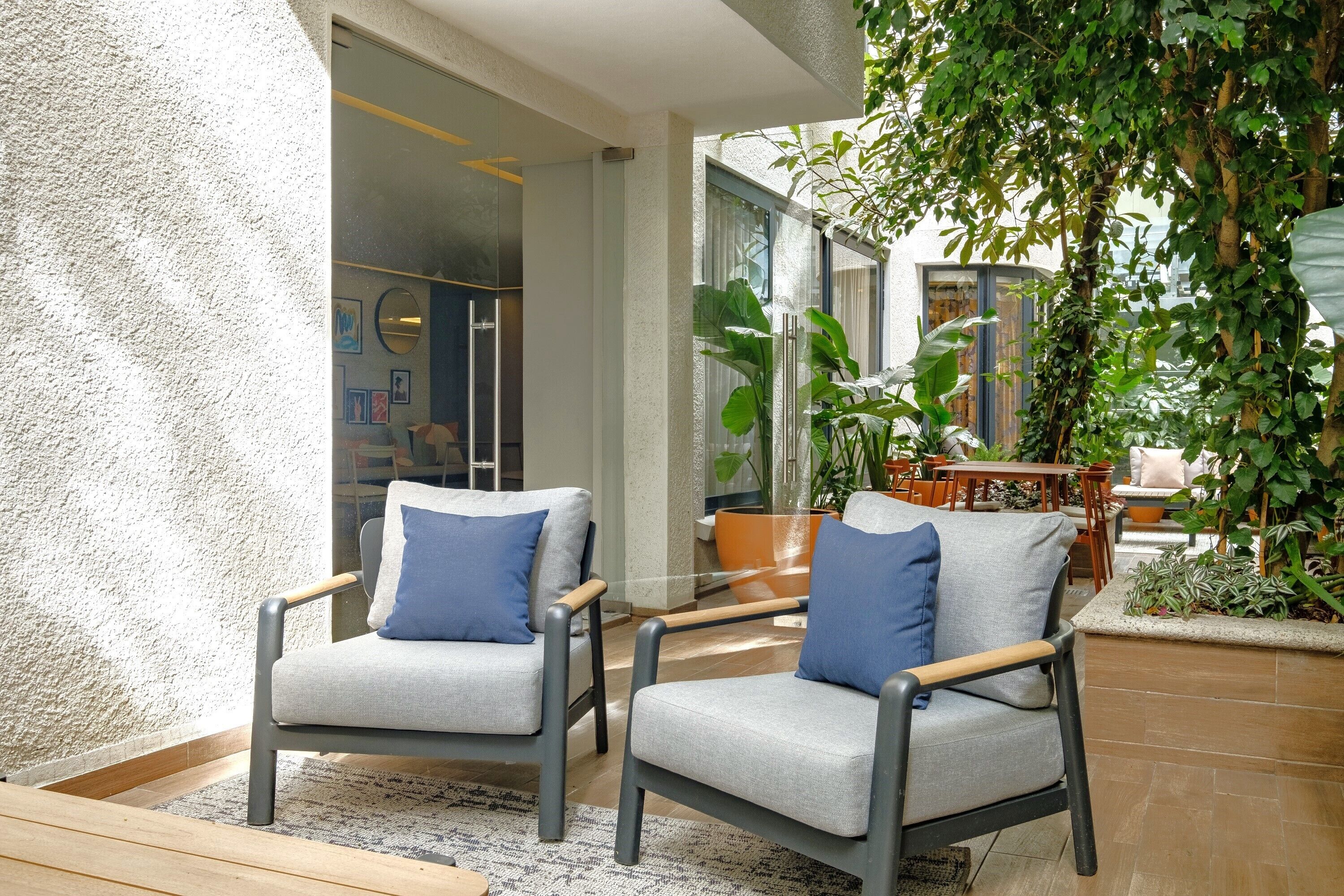 Terraza o patio