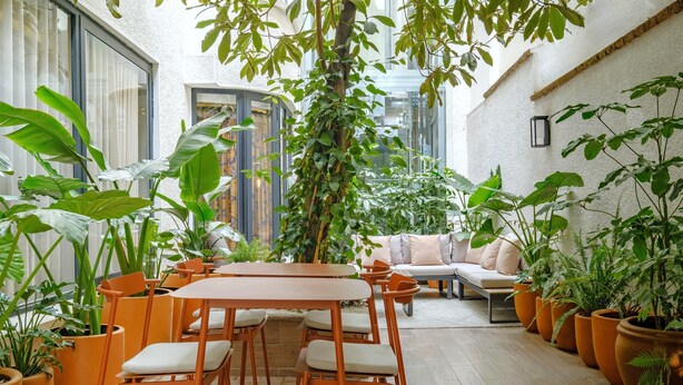 Un patio acogedor con mesa y sillas de madera, rodeado de grandes macetas y una zona de estar con cojines.