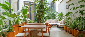 District Polanco by Lumina