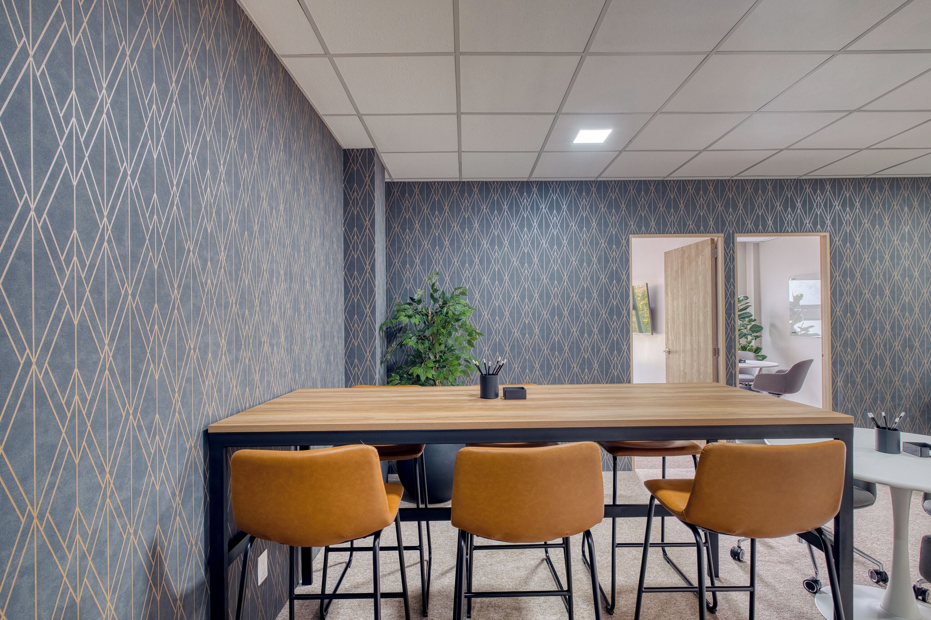 A conference room with a long table, four chairs, and a potted plant.