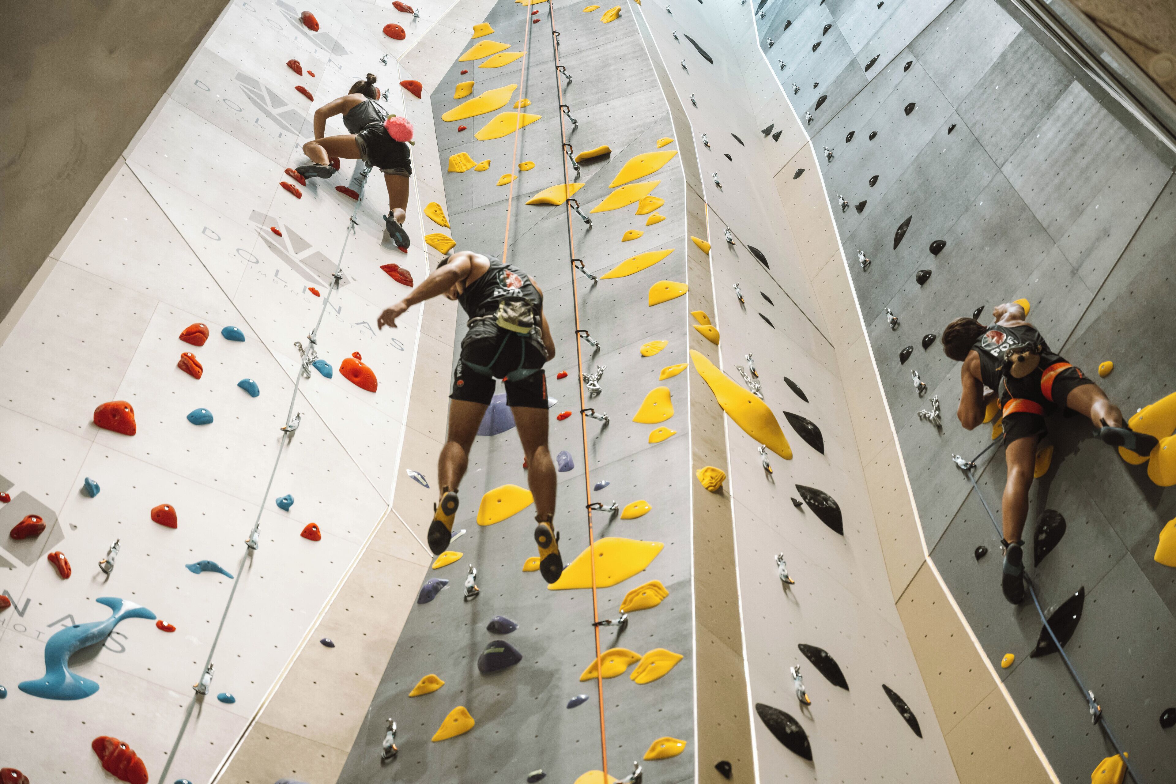 A climbing wall with various holds and a rope system.
