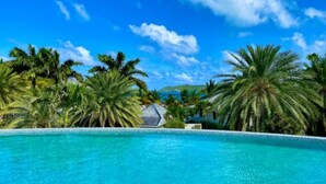 Una piscina azul cristalina rodeada de palmeras y un cielo despejado.