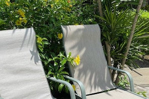 Deux chaises dâextĂ©rieur, dotĂ©es dâune structure en mĂ©tal et dâun siĂšge en tissu, sont placĂ©es devant une plante luxuriante aux feuilles vertes et aux fleurs jaunes.