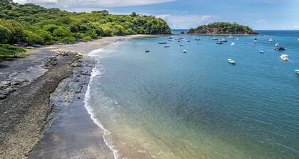 Blissful Little Dreams Studio