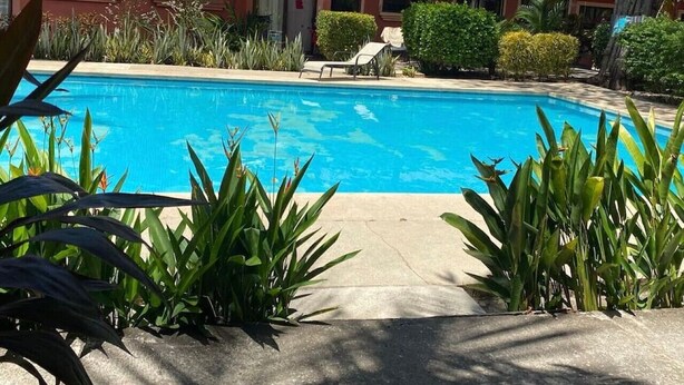 Une piscine entourée de chaises longues, de verdure et d’un bâtiment dont le toit est recouvert de tuiles rouges.