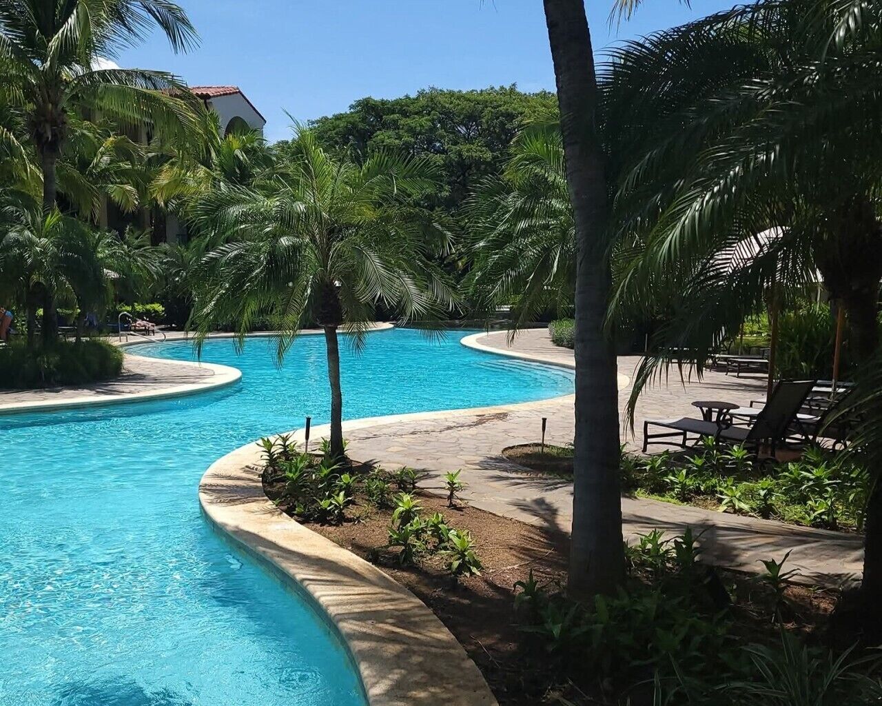 Ein Pool mit geschwungener Kante, umgeben von Palmen und Liegestühlen.