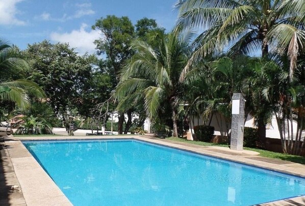 A rectangular swimming pool surrounded by palm trees and greenery.