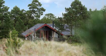 4 bedroom lovely home in Blåvand