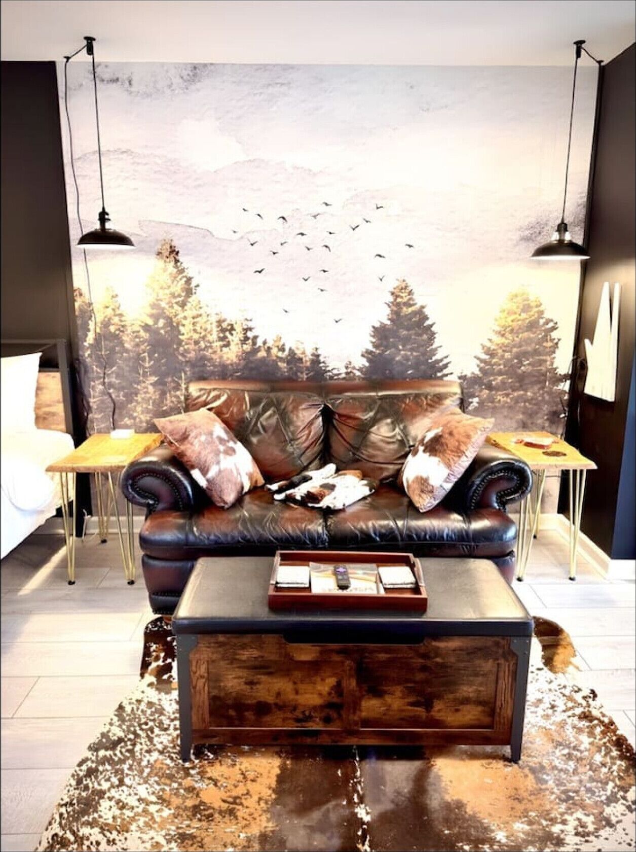 TV connectée, cheminée, lecteur de DVD