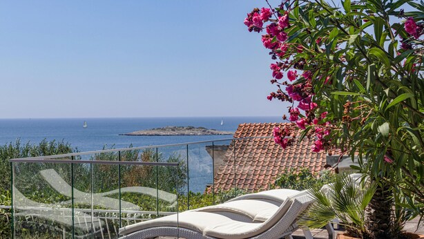 A balcony with a lounge chair, a potted plant, and a view of the sea.