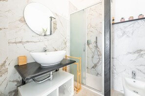 Shower, hair dryer, bidet, towels