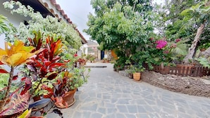 Un patio con un sendero adoquinado, rodeado de plantas en macetas y una cerca de madera.