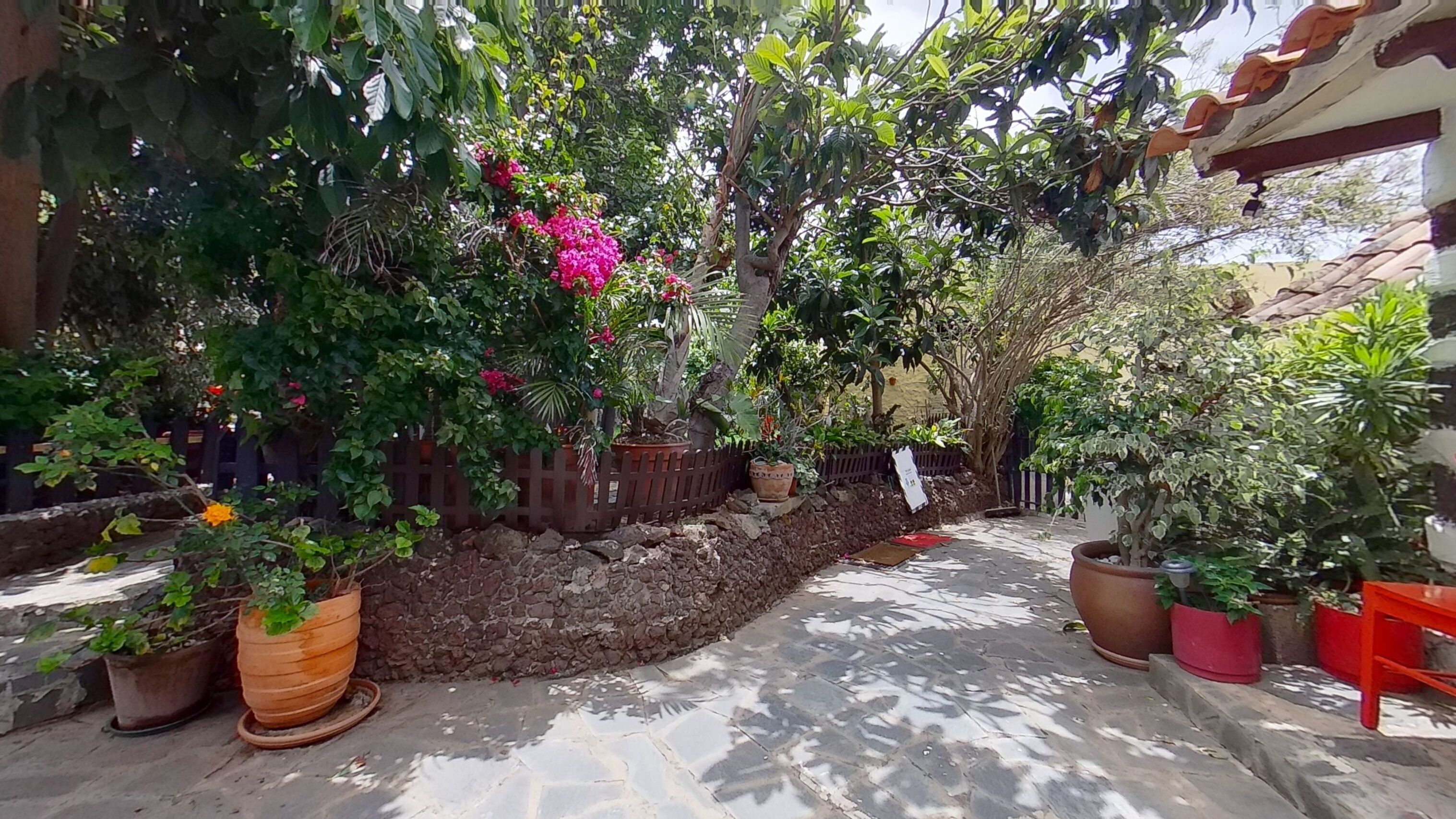 Photo - Charming 1-Bed House in La Laguna