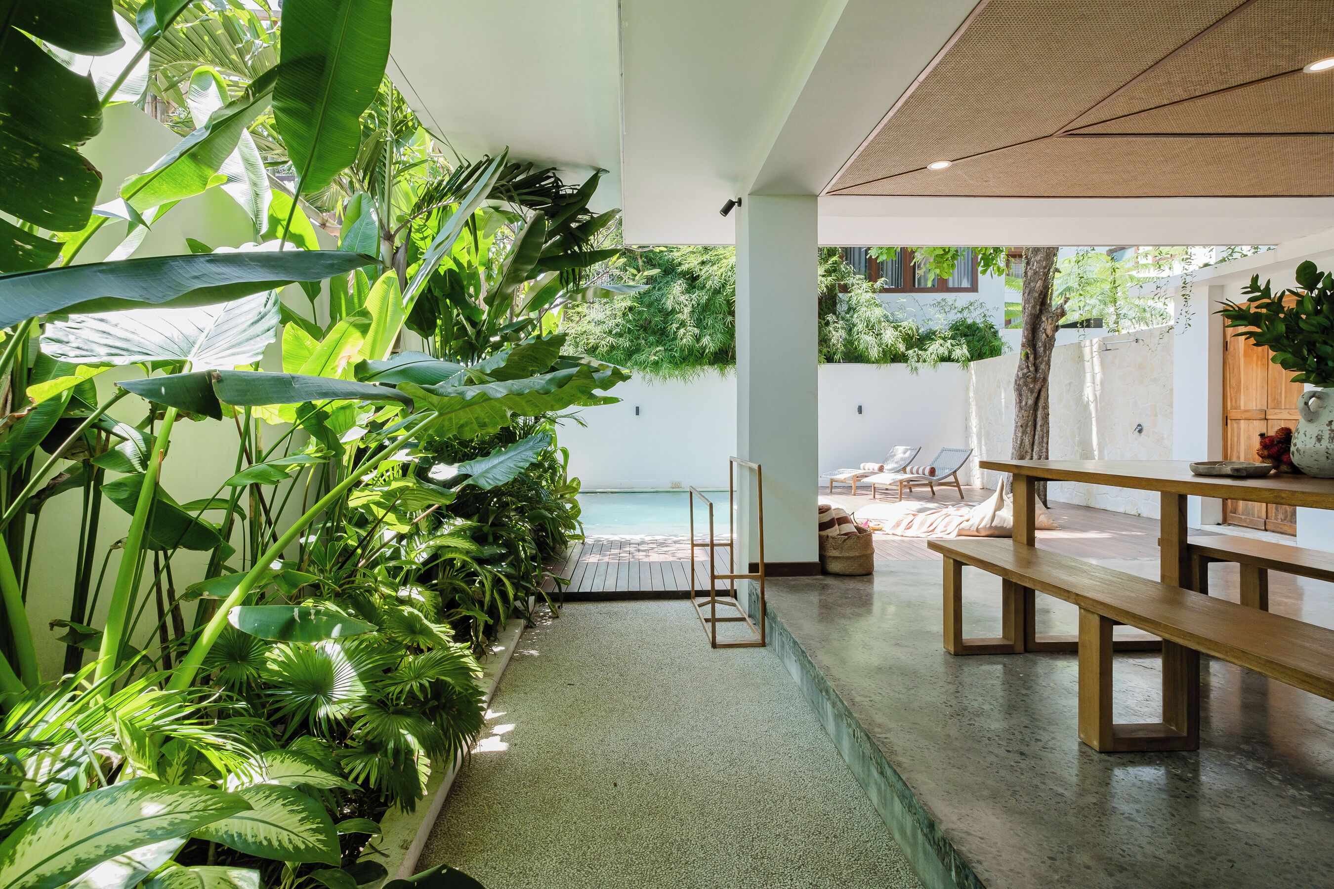 A modern indoor space with a concrete floor, wooden benches, and lush green plants.