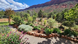 Un giardino con diverse piante e fiori, circondato da una recinzione e con montagne sullo sfondo.