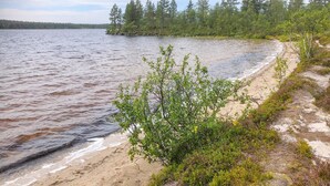 Ein Strand mit sandigem Ufer, ein kleiner Busch im Vordergrund und ein Wald im Hintergrund.
