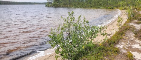 Fiske